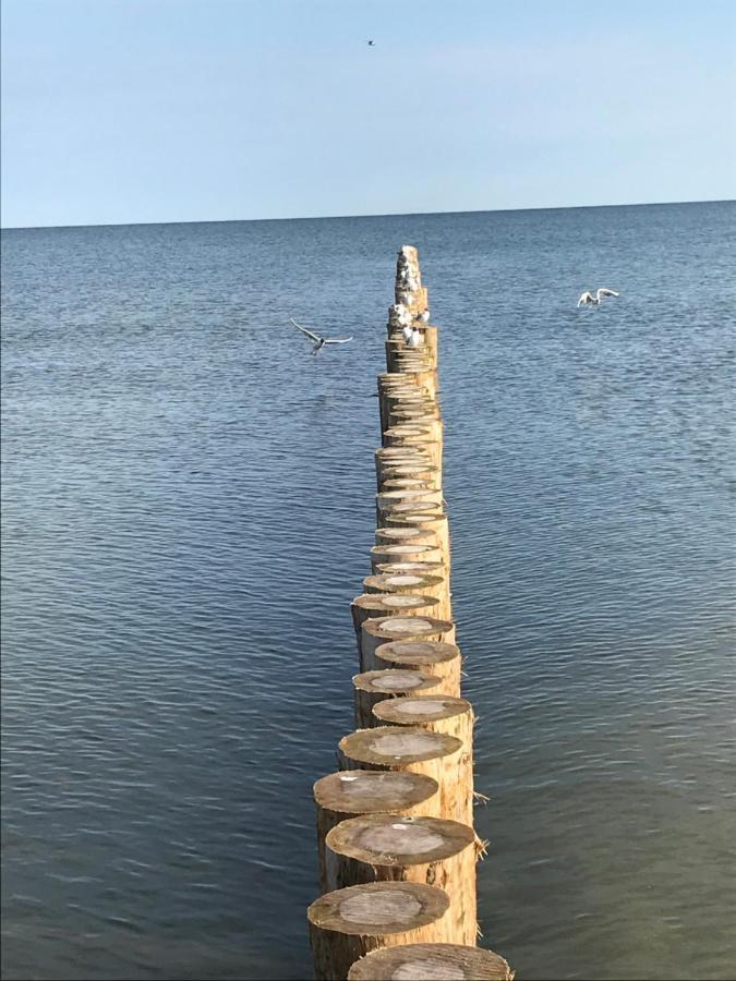 Ive'S Gardenia Seaside Apartman Dziwnów Kültér fotó