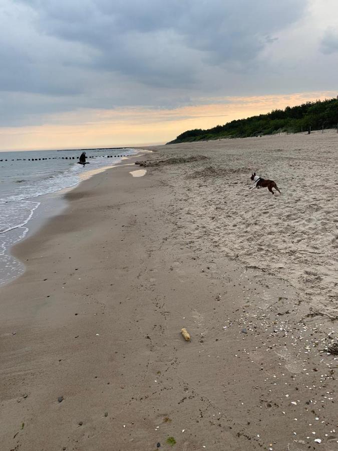 Ive'S Gardenia Seaside Apartman Dziwnów Kültér fotó